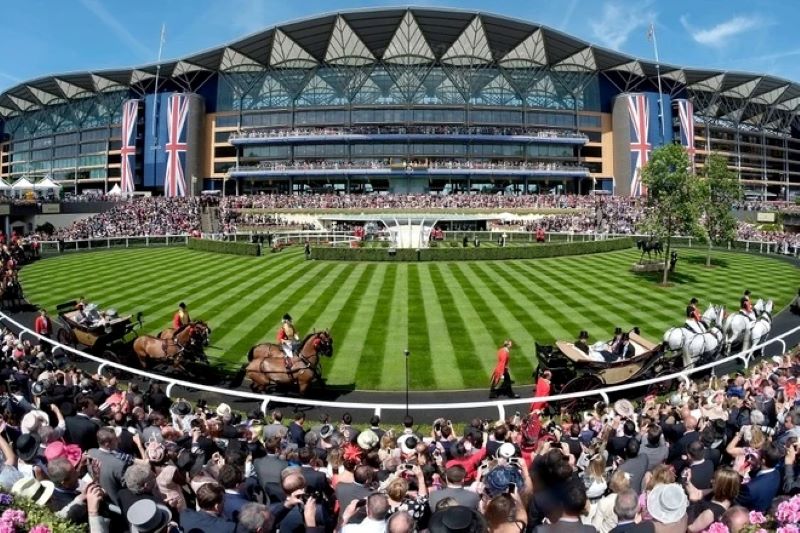 Cá Cược Đua Ngựa 2 Các loại kèo Cá Cược Đua Ngựa