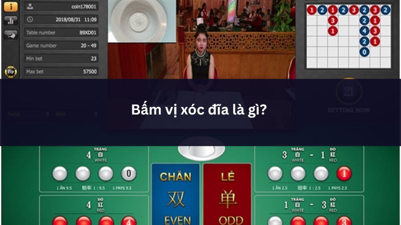 Bấm vị xóc đĩa là gì? Hướng dẫn chiến thuật từ cao thủ 2 Bấm vị xóc đĩa chiến thuật soi cầu hiệu quả