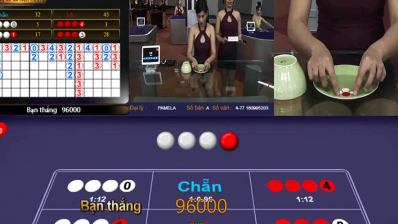 Ảnh chơi xóc đĩa – Kinh nghiệm và cách đọc số liệu trên ảnh 5 nam bat nhanh chong cach choi xoc dia qua anh